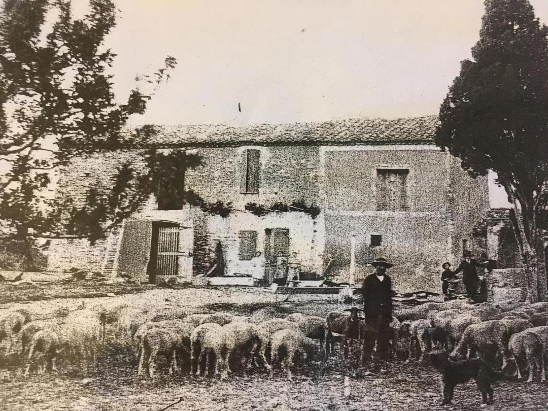 La Bergerie De Cigalon Bed and Breakfast Mouries Buitenkant foto