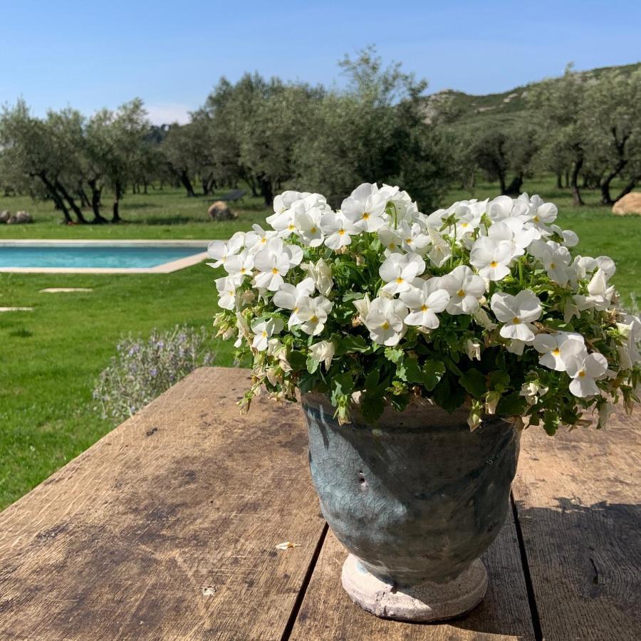 La Bergerie De Cigalon Bed and Breakfast Mouries Buitenkant foto